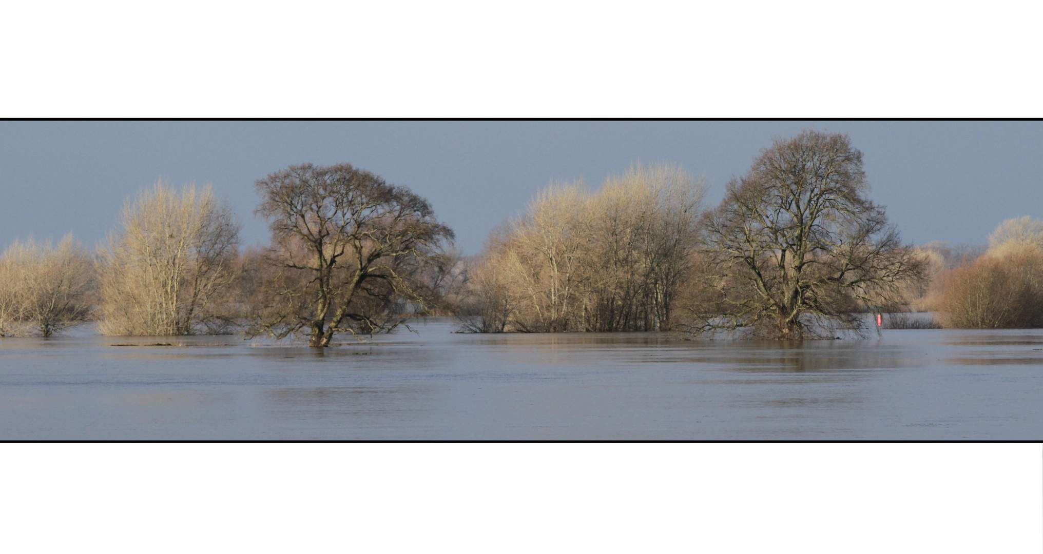 °°° Elbe-Hochwasser °°°