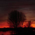 Elbe im Februar 08