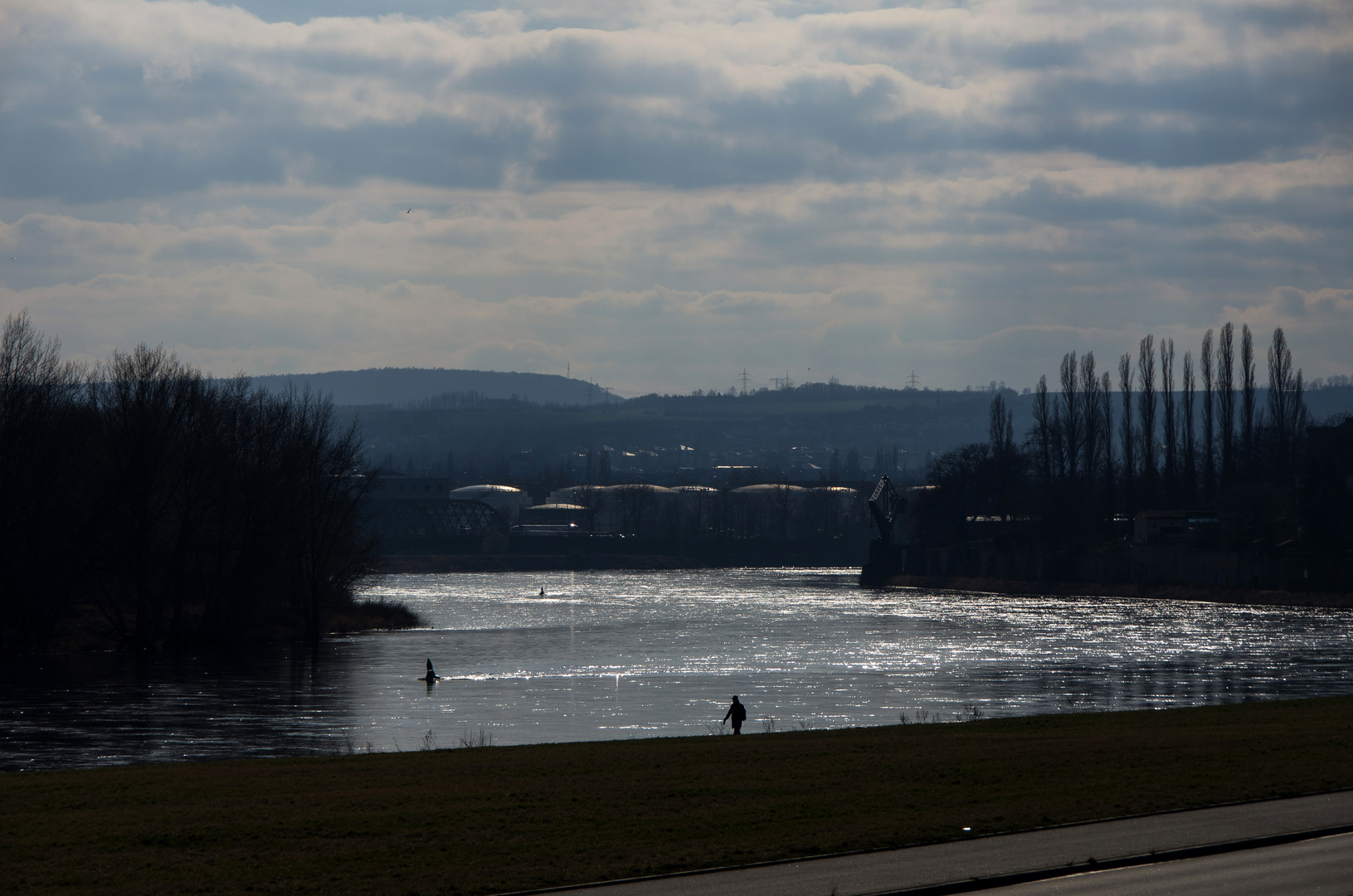 Elbe im Gegenlicht