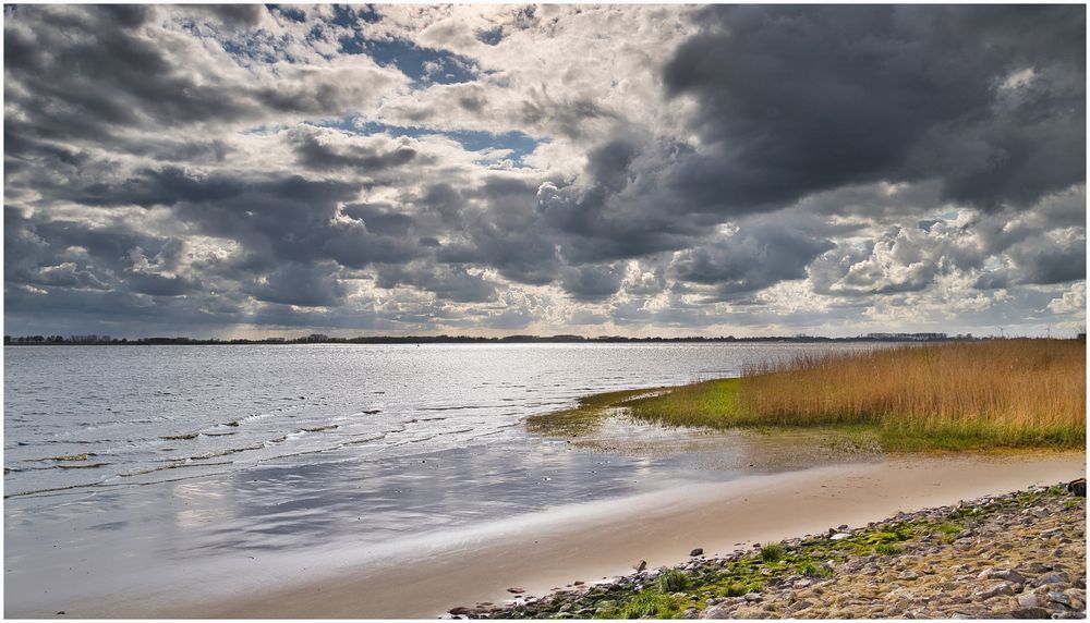 Elbe im Gegenlicht