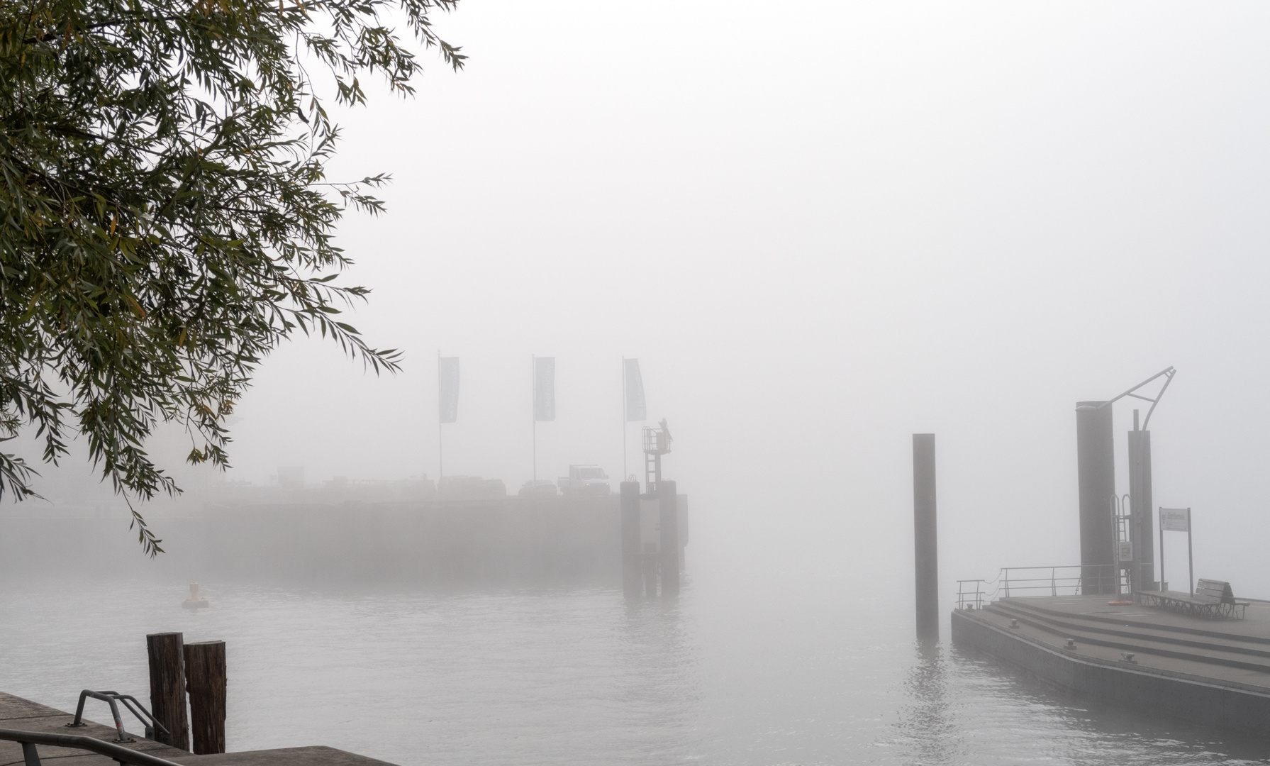 Elbe im Nebel 14