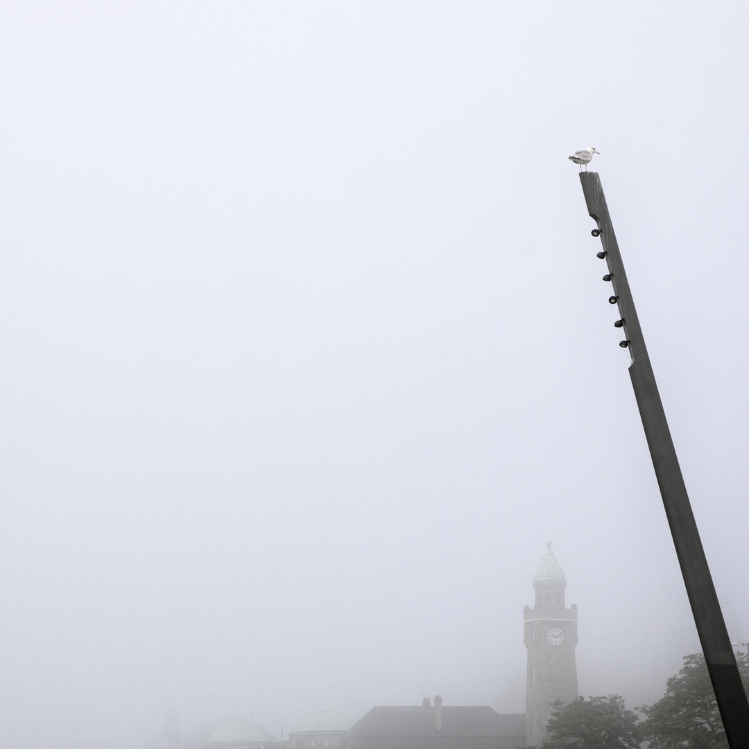 Elbe im Nebel 16