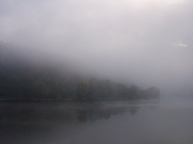 ELBE IM NEBEL