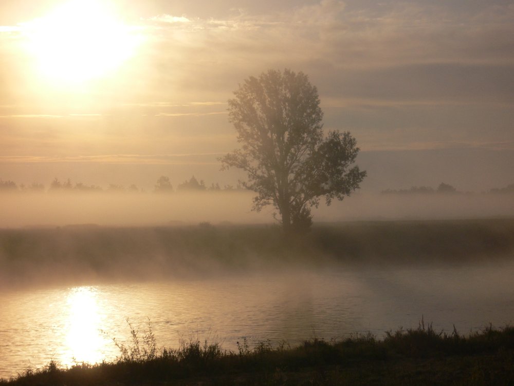 elbe im nebel 2