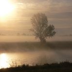 elbe im nebel 2