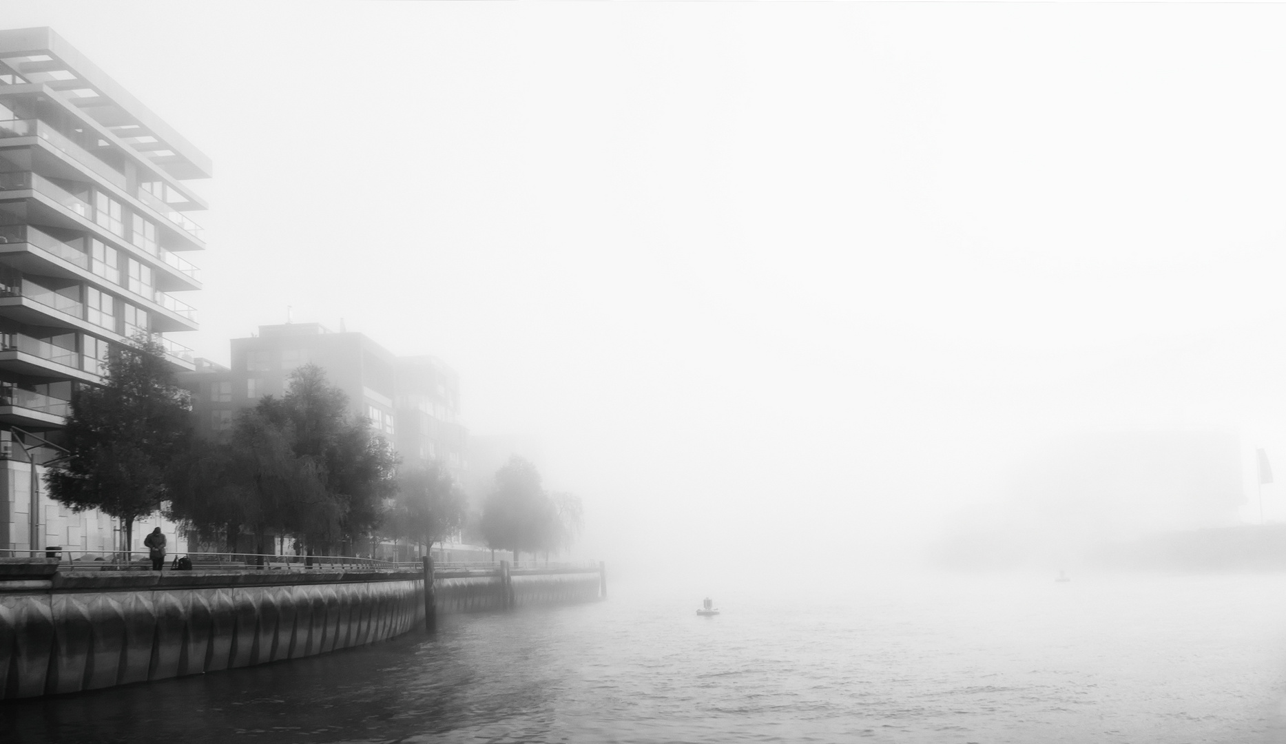 Elbe im Nebel 4