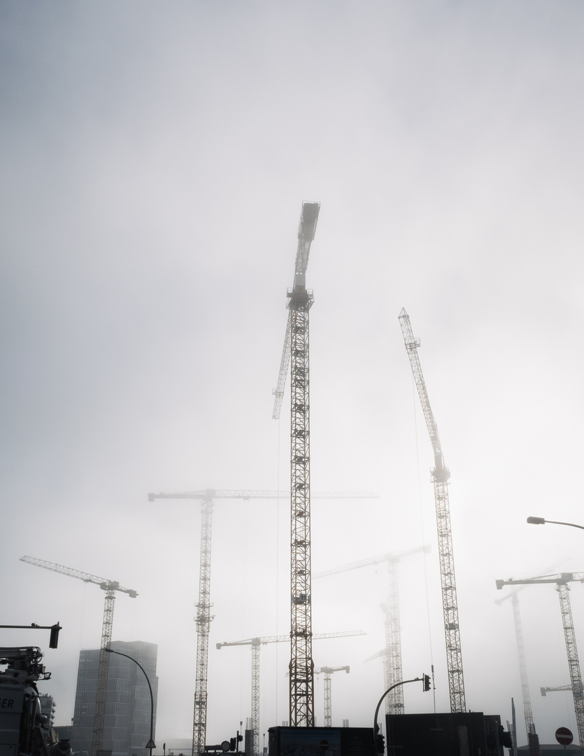 Elbe im Nebel 6