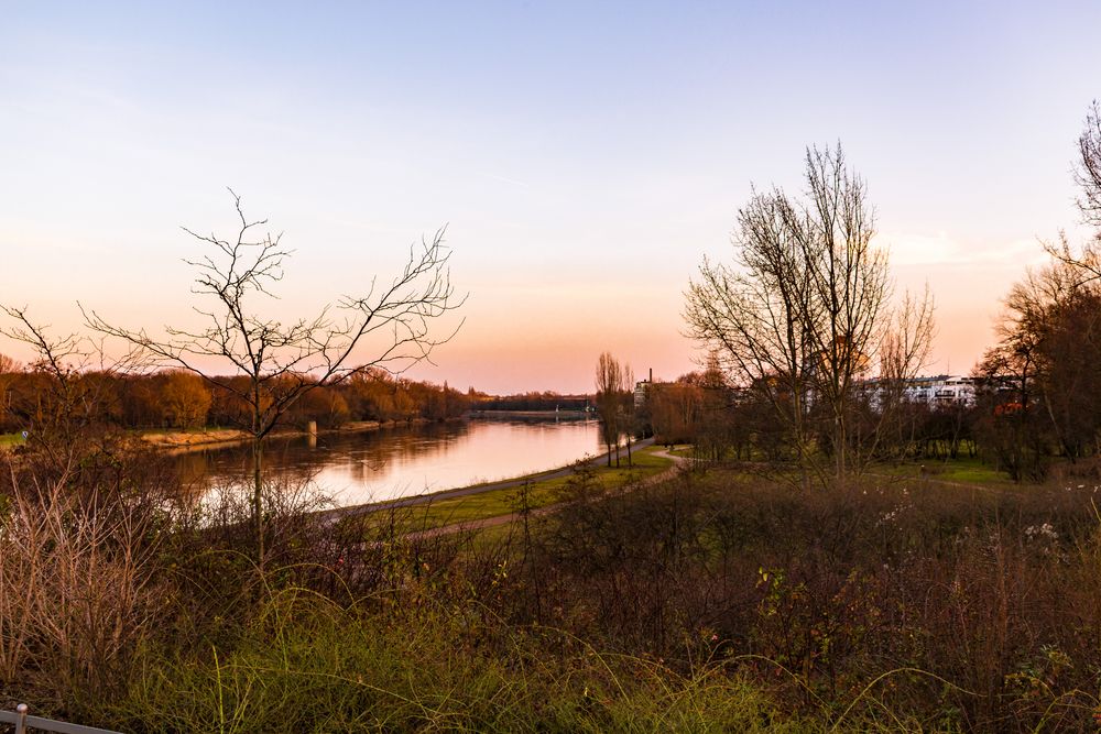 Elbe im Sonnenuntergang