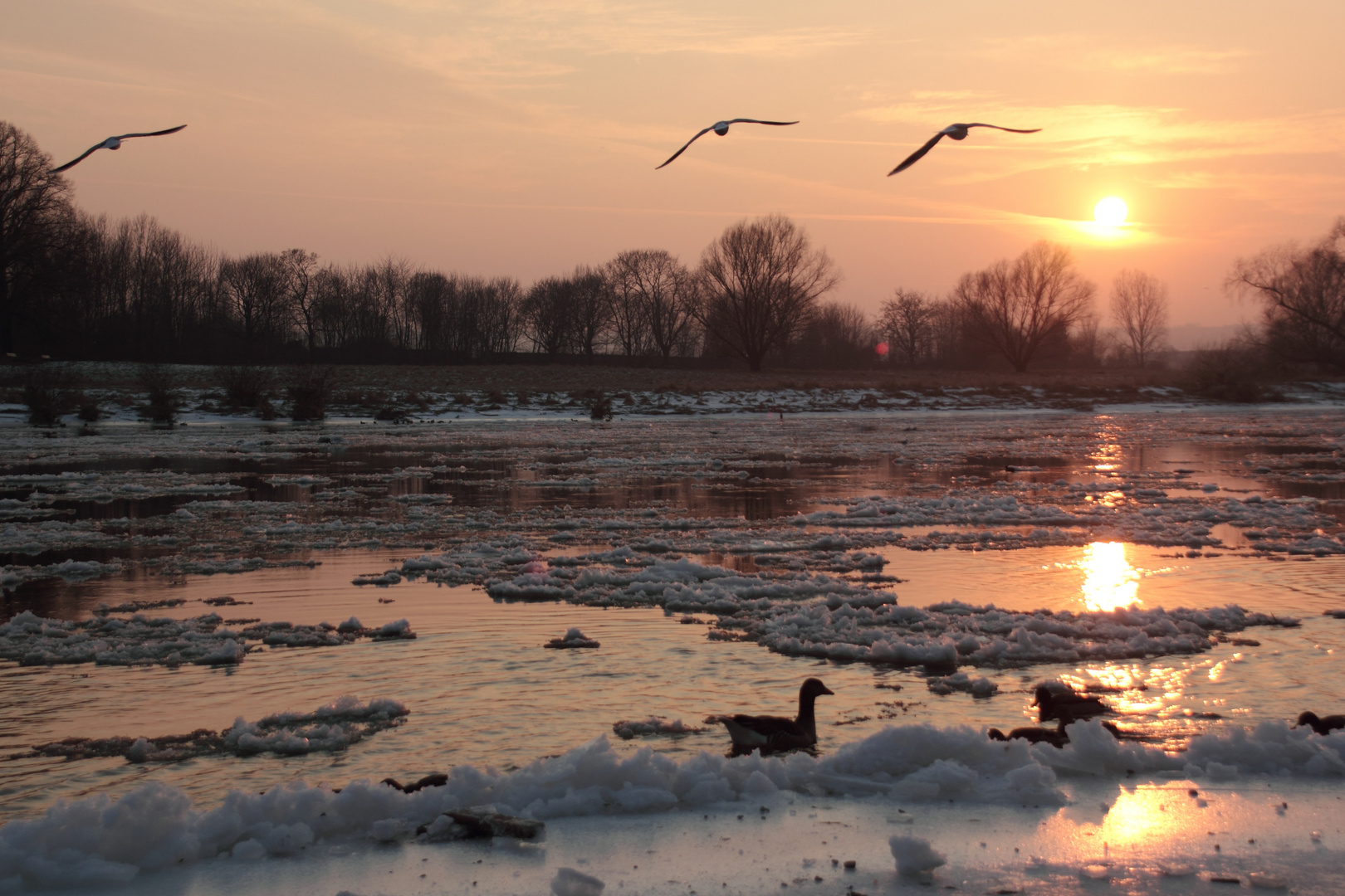 Elbe im Winter