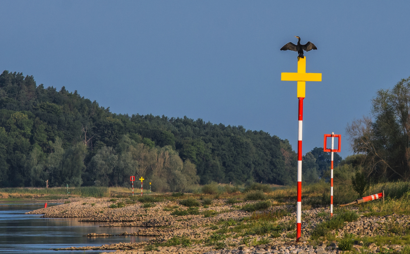 Elbe Impression_8985