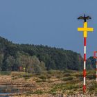 Elbe Impression_8985