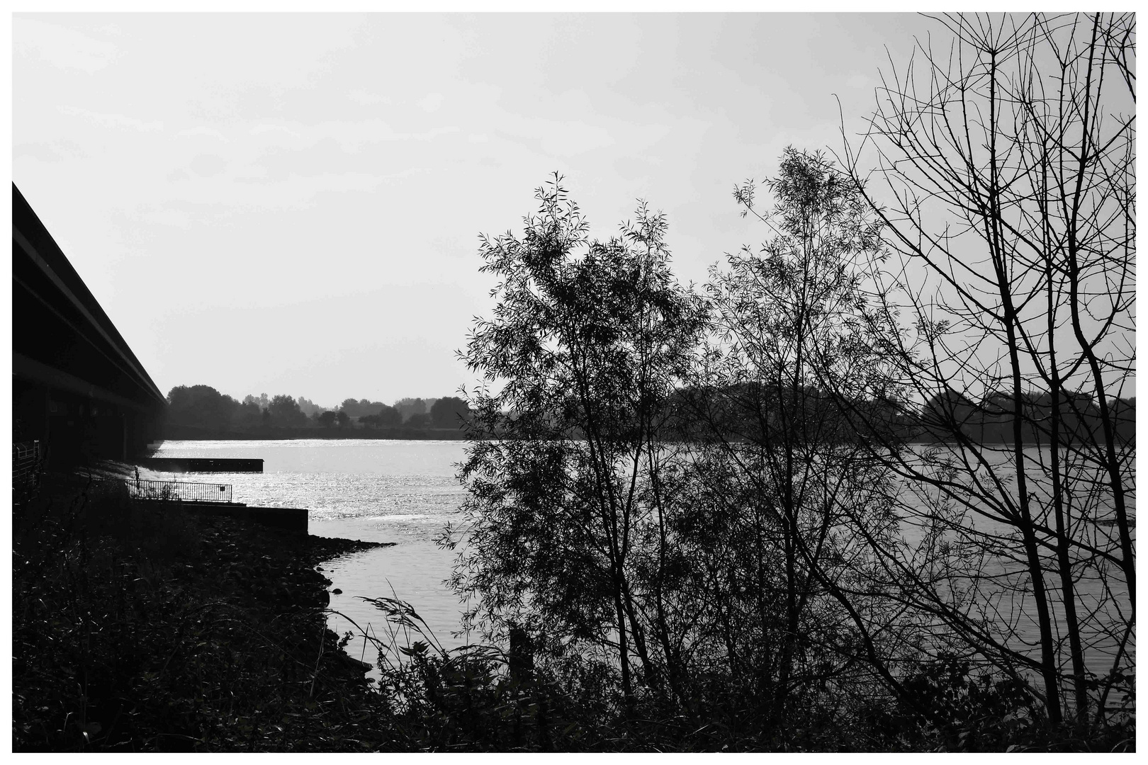 "Elbe-Impressionen.."