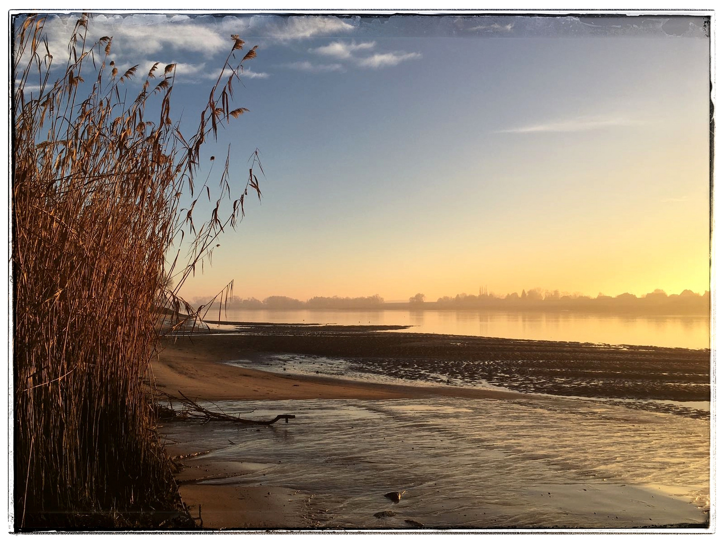 Elbe-Impressionen