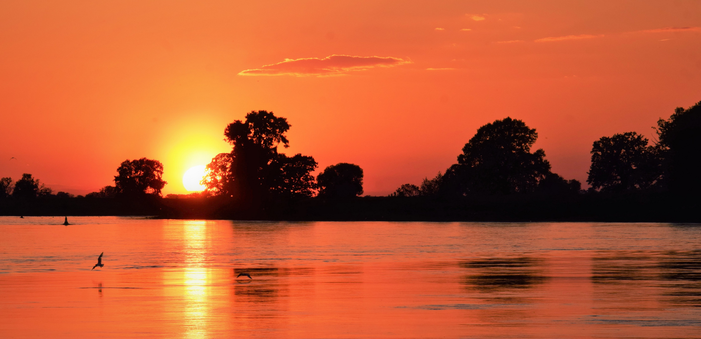 Elbe in Abendstimmung 4