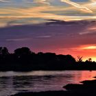 Elbe in Abendstimmung 5