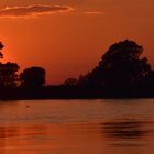 Elbe in Abendstimmung 5