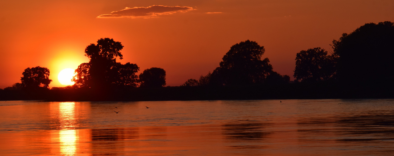 Elbe in Abendstimmung 5