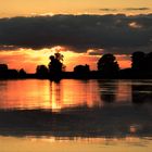 Elbe in Abendstimmung 9