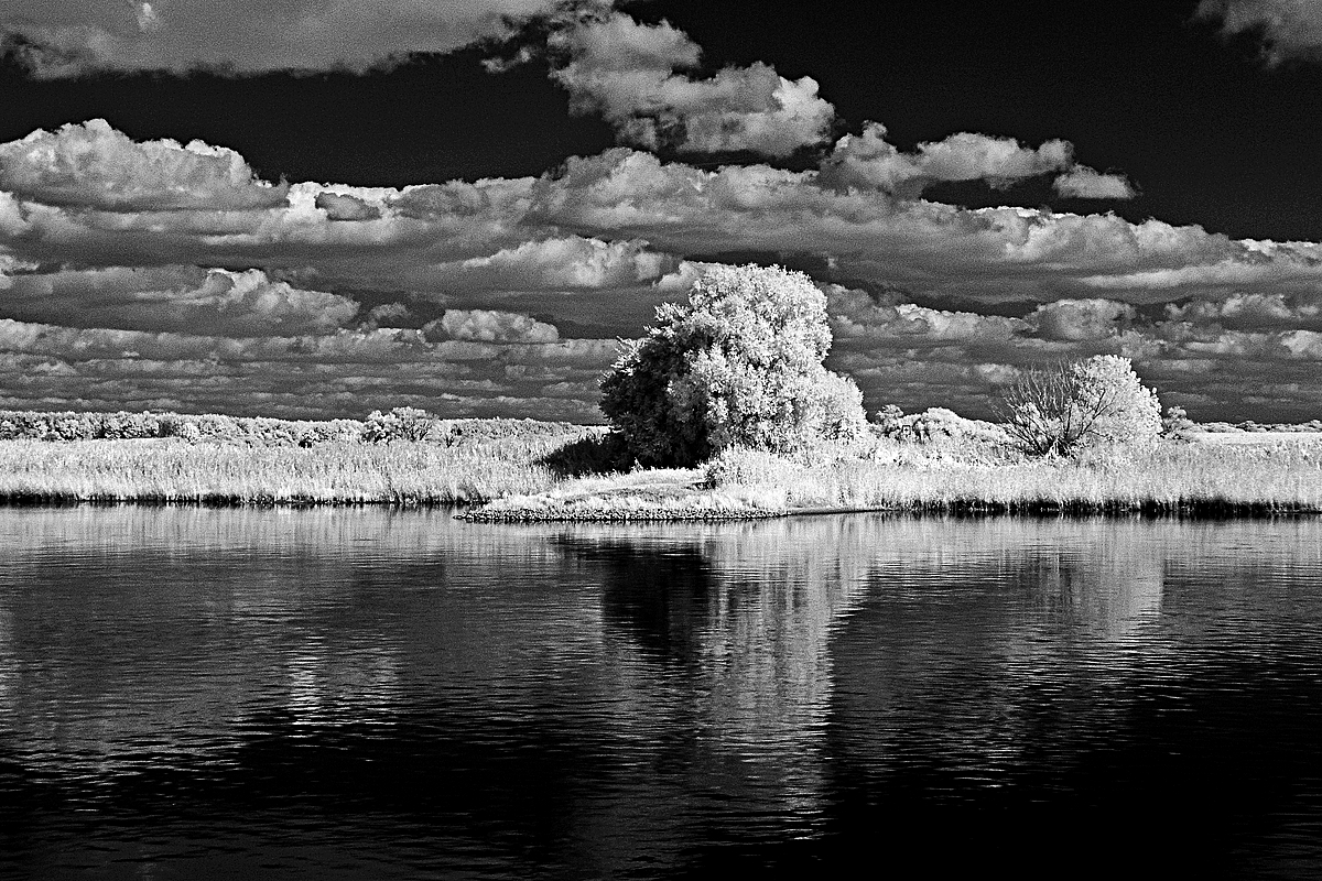 Elbe in Tangermünde