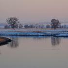 elbe in torgau