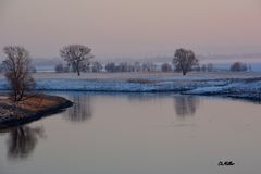 elbe in torgau