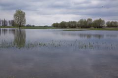 Elbe-Landschaft bei L.-Wittenberg - (1)