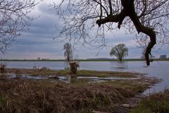 Elbe-Landschaft bei L.-Wittenberg - (2)