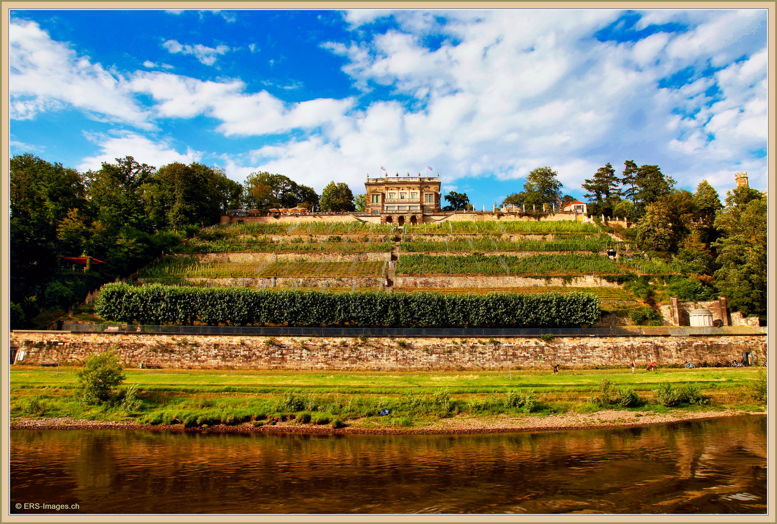 Elbe Lingnerschloss Dresden 2020-07-24 292 (61) Lumi ©