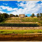 Elbe Lingnerschloss Dresden 2020-07-24 292 (61) Lumi ©