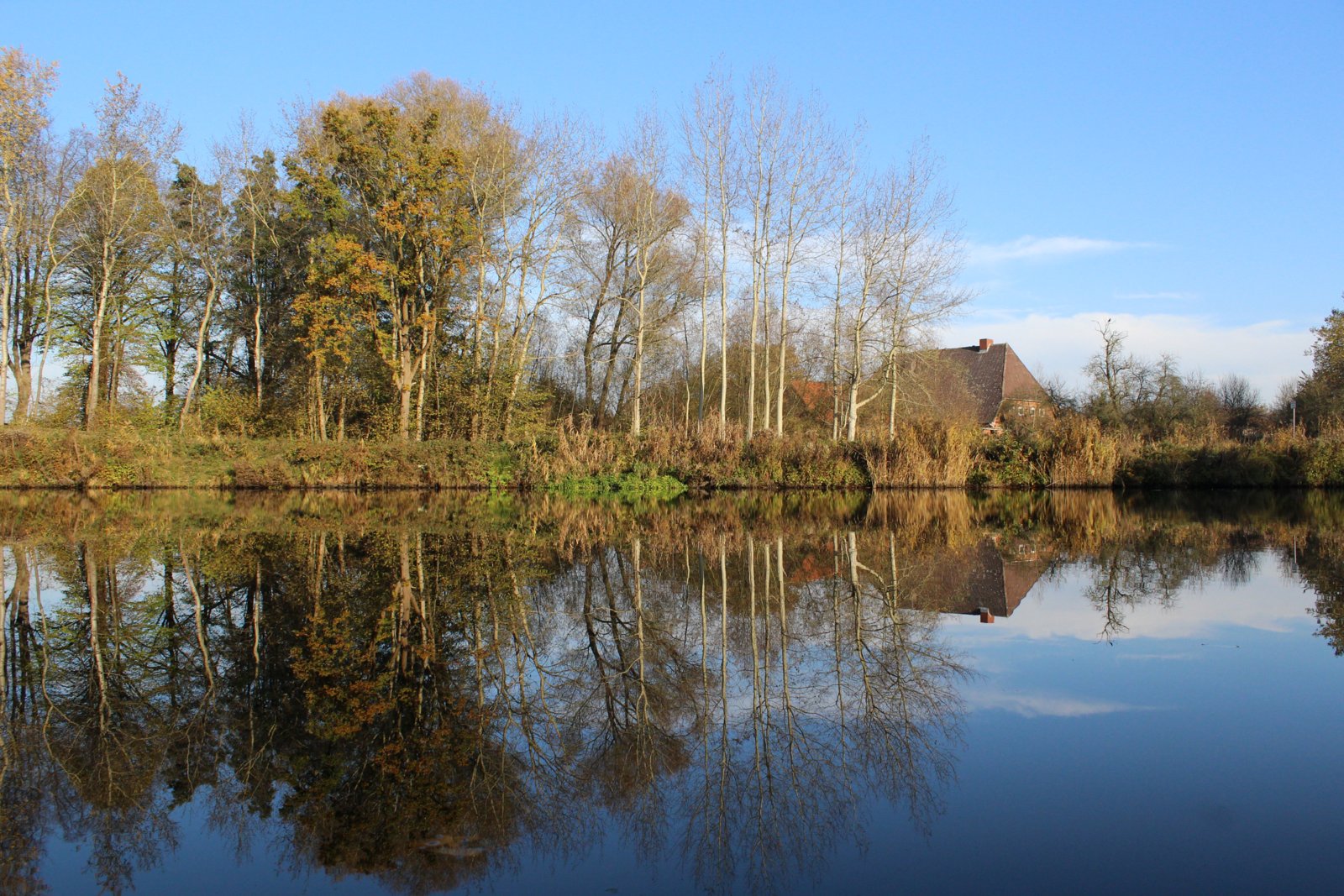 Elbe Lübeck Kanal bei Kühsen