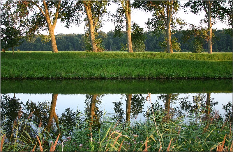 Elbe-Lübek-Kanal 2