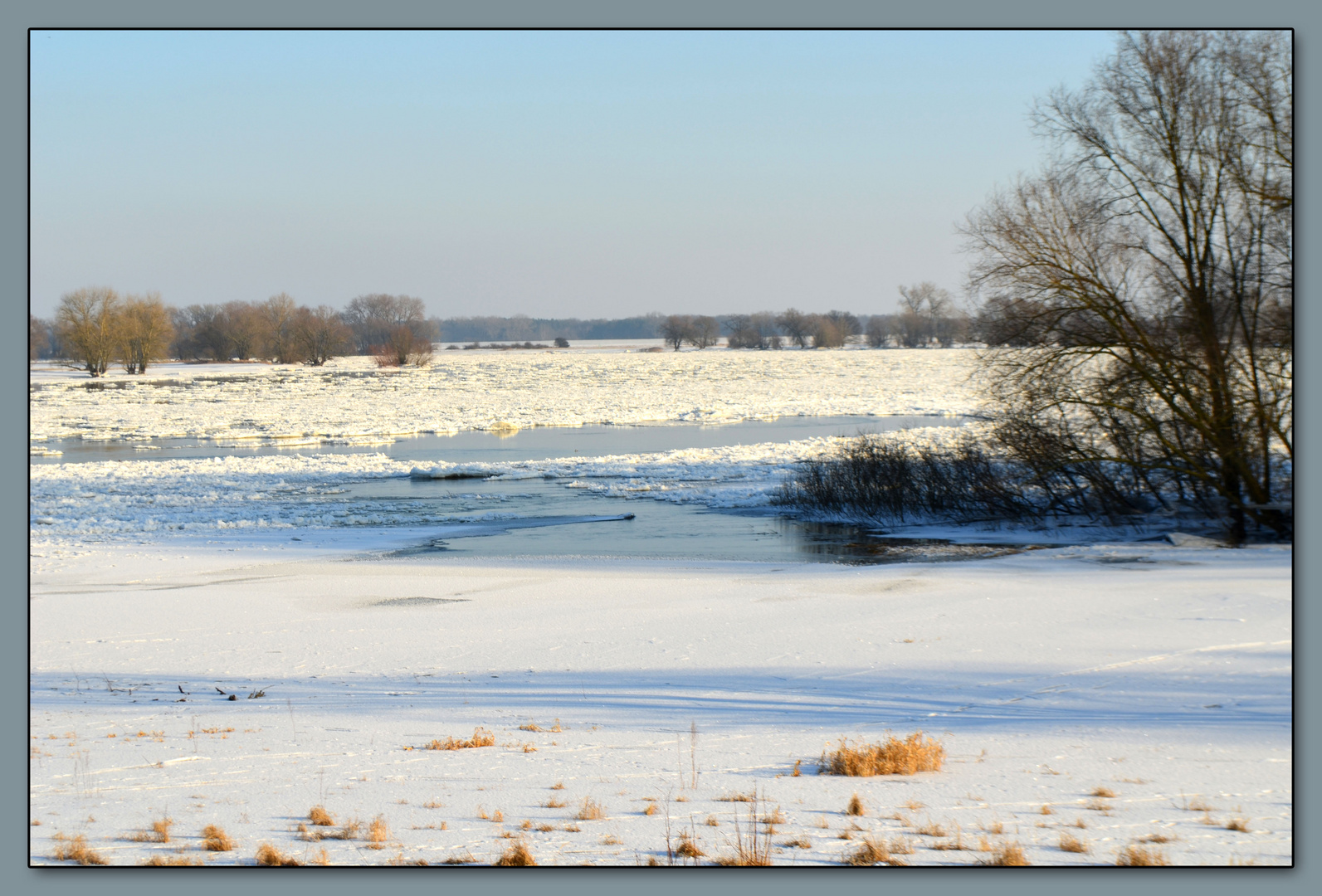 Elbe mit Auen, verschneit