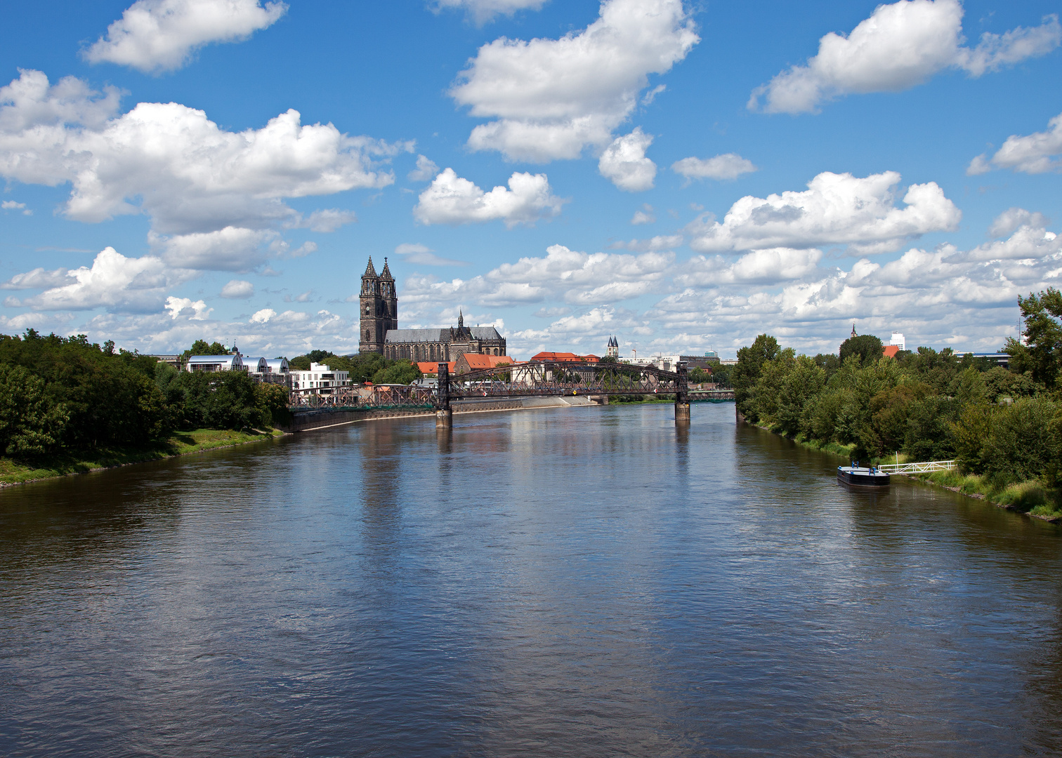 Elbe mit Dom zu Magdeburg