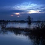 Elbe mit leichtem Winterhochwasser