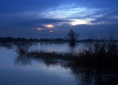 Elbe mit leichtem Winterhochwasser