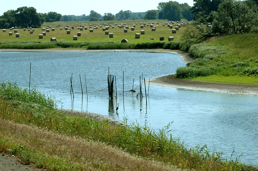 Elbe-Natur-Erlebnis-Radweg