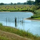 Elbe-Natur-Erlebnis-Radweg