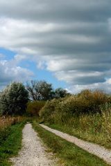 ELBE - Niederung