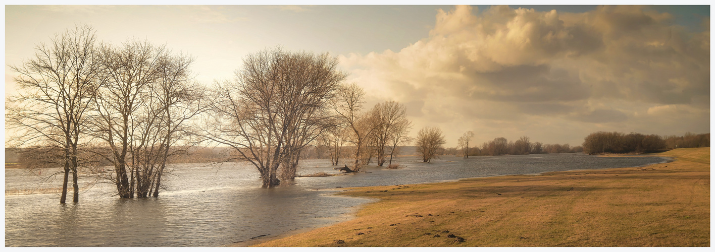 Elbe Panorama bei Flut 1