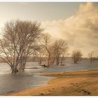 Elbe Panorama bei Flut 1