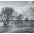 Elbe Panorama bei Flut 2