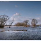 Elbe Panorama bei Flut 3