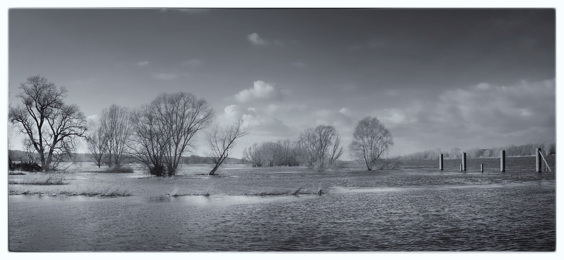 Elbe Panorama bei Flut 4