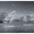 Elbe Panorama bei Flut 4