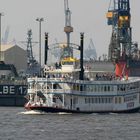 Elbe Queen