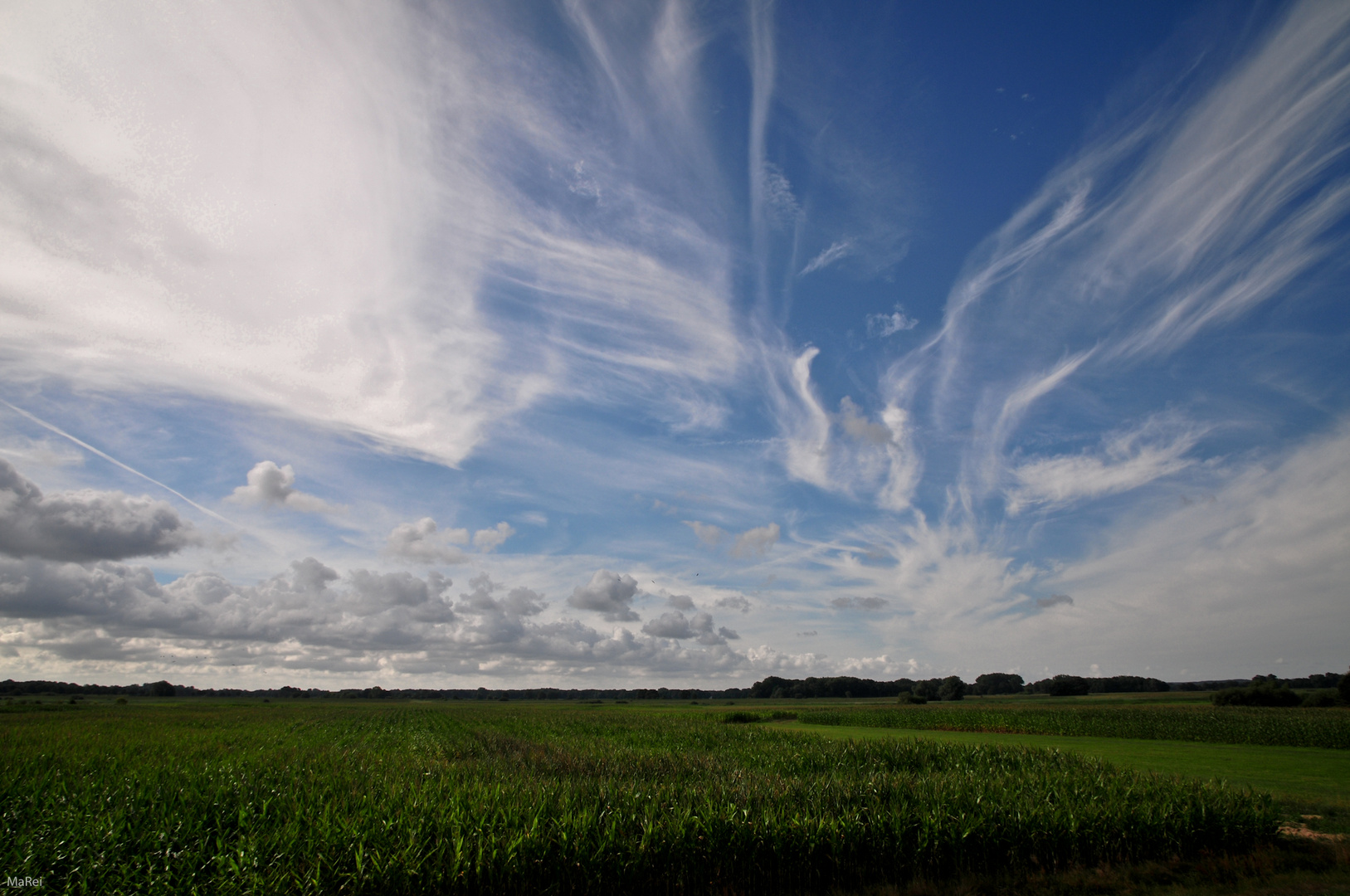 Elbe-Radwanderweg V - Wolkenschauspiel