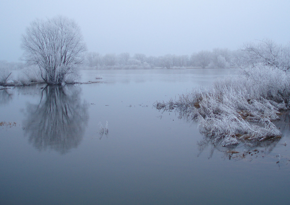 Elbe-reif