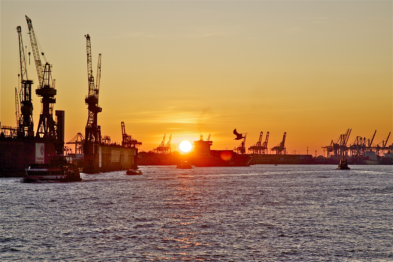 Elbe ,Sonnenuntergang, Hafen