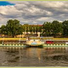 Elbe Stadt Wehlen Dresden 2020-07-24 292 (91) Lumi ©