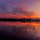 Elbe Sunset